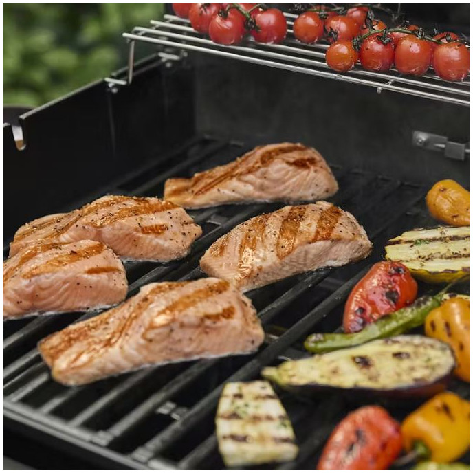 Barbecue à gaz Spirit E-435